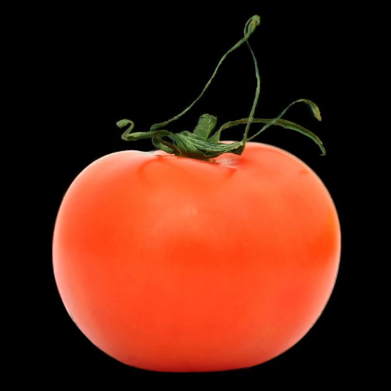 tomate