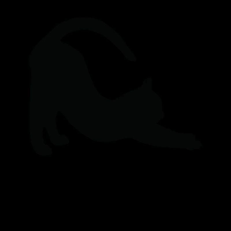 Cat Yoga