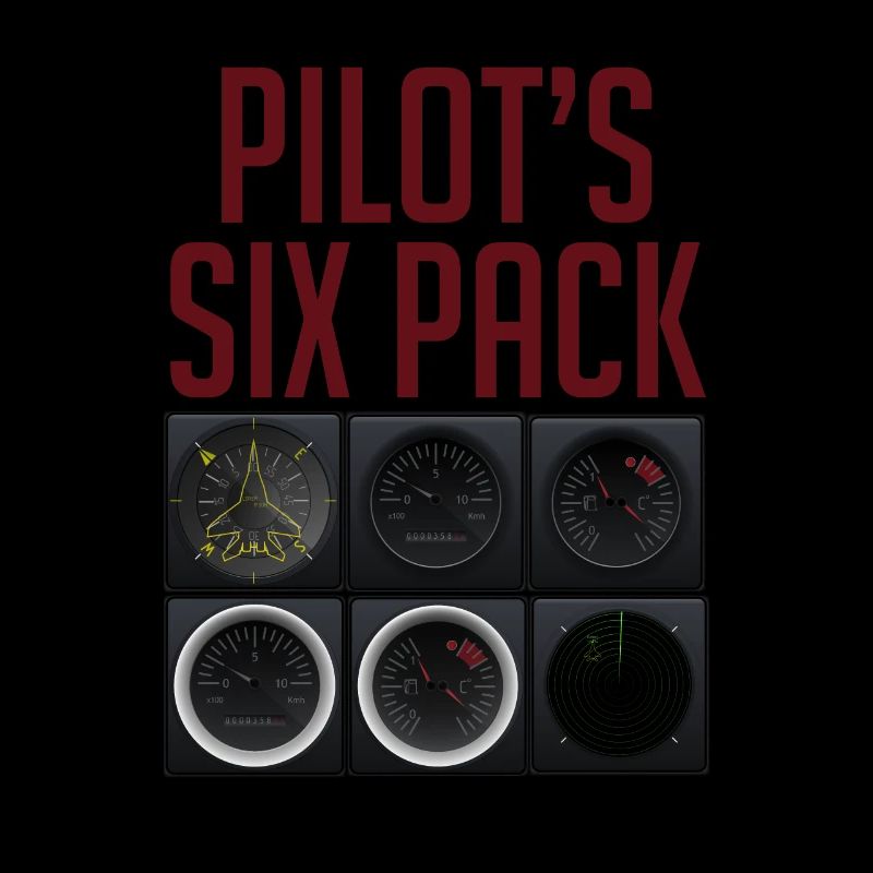 Pilot Fliegen