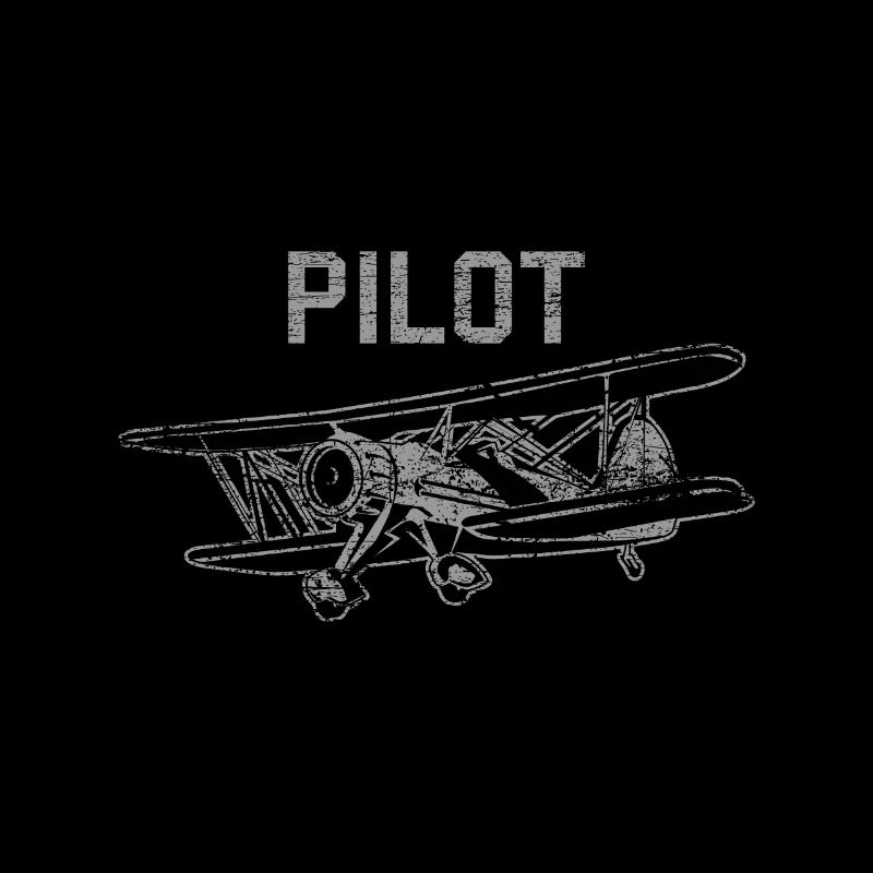 Aircraft pilot plane