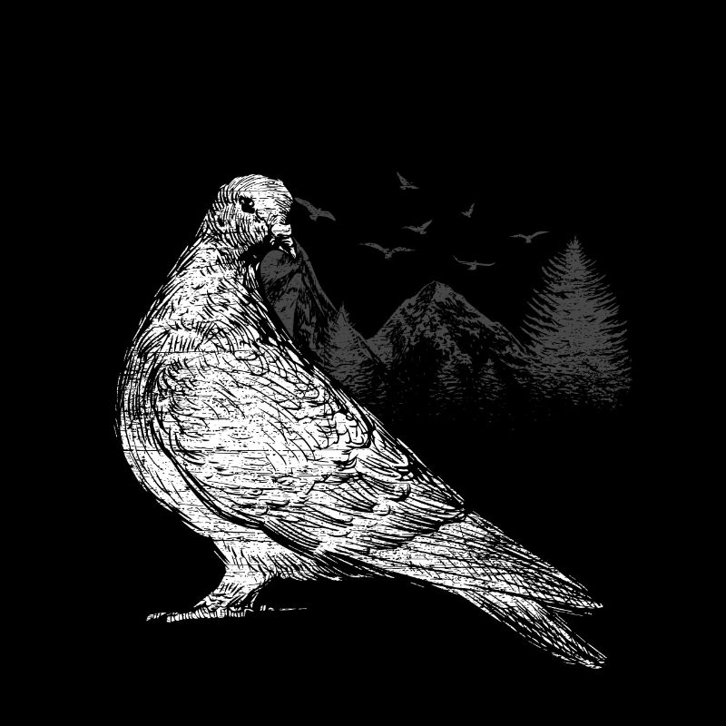 Pigeons pigeons