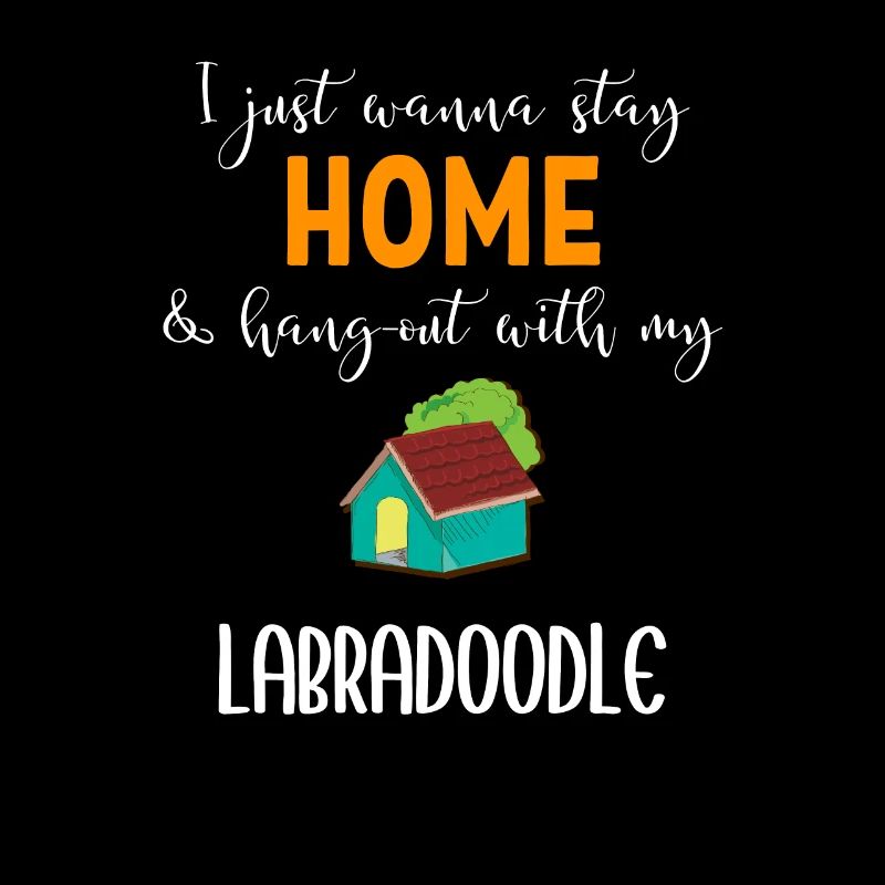 Labradoodle