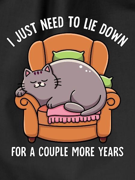 Sleeping Lazy Cat