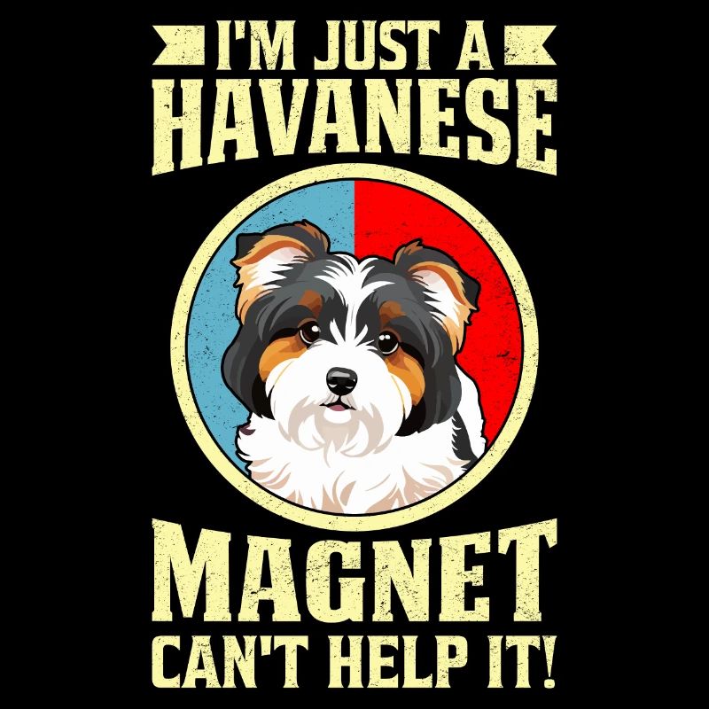 I'm just a Havanese Magnet can't help it