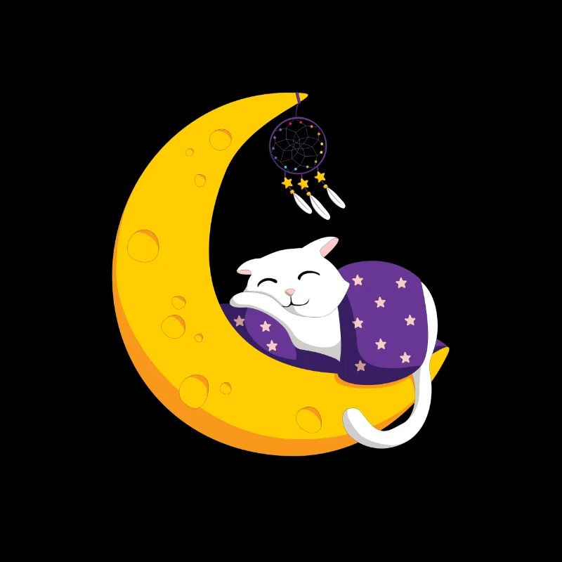 Sleeping cat moon