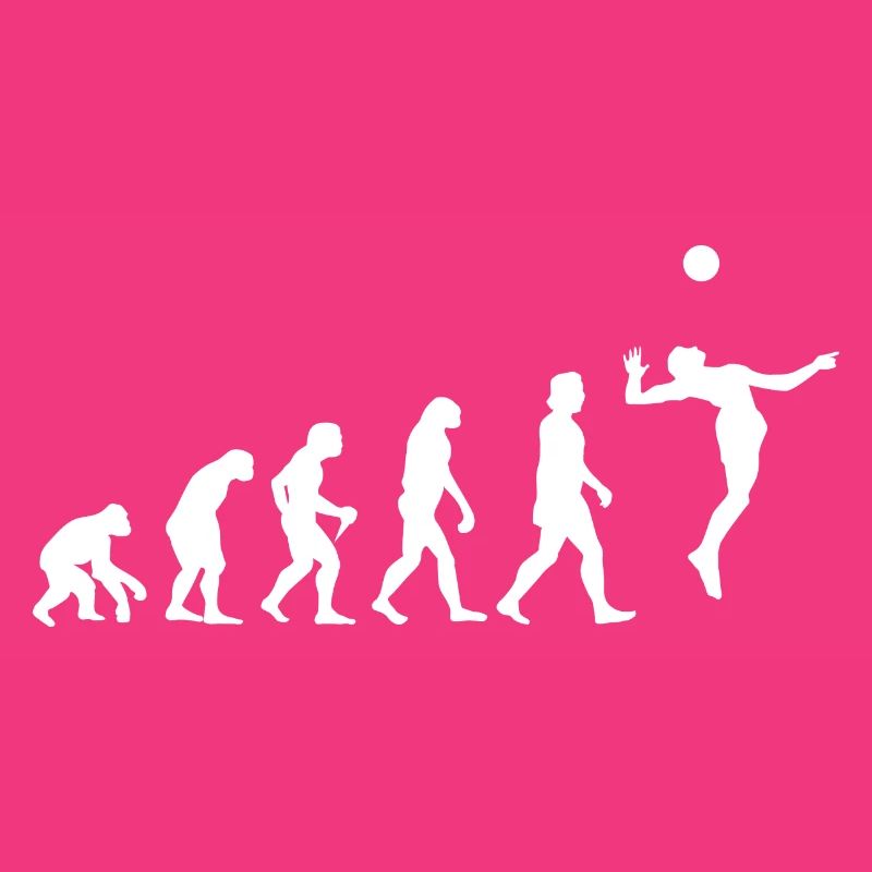 Evolution Volleyball Aufschlag Geschenkidee