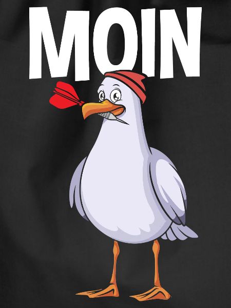 Moin Seagull