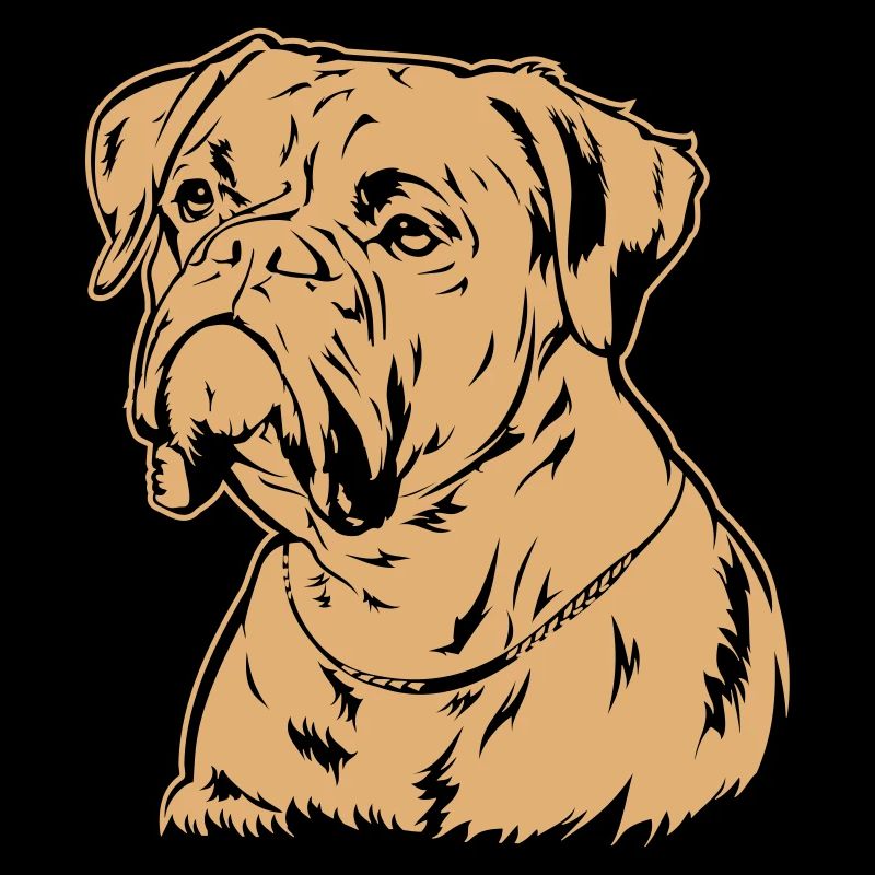 Boxer