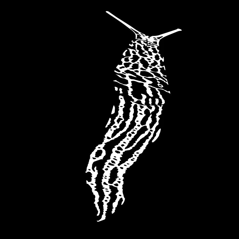 Tigerschnegel