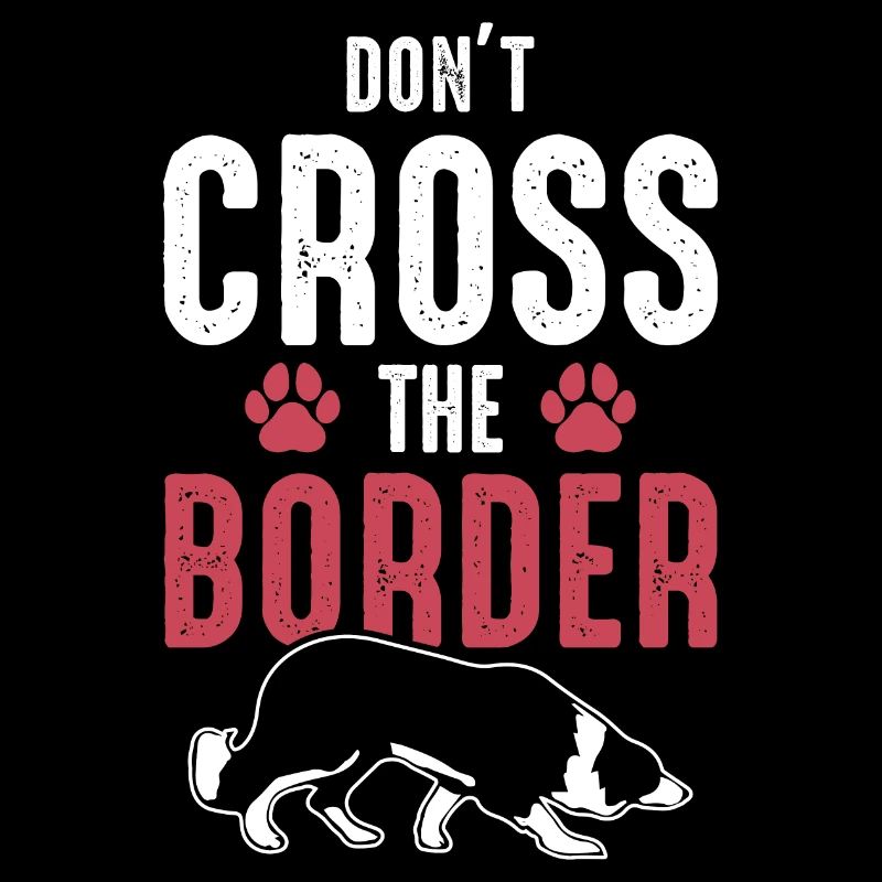 Border collie plus drôle