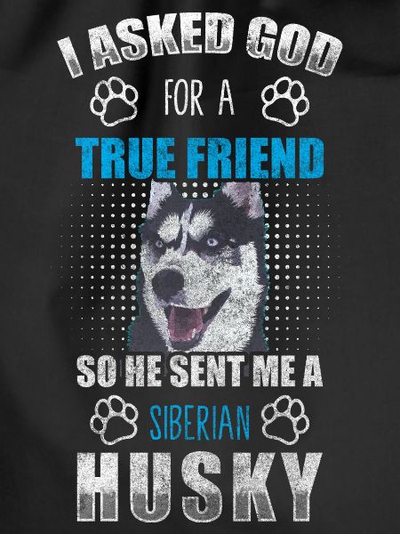 Husky dog pedigree dog