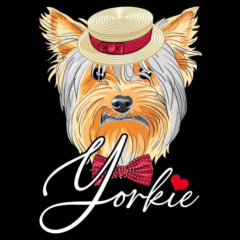 Funny Yorkie with hat Yorkshire Terrier