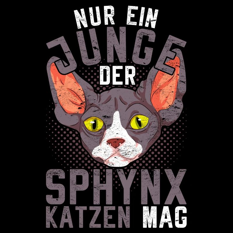 Nur ein Junge der Sphynx Katzen mag Sphynx Katze