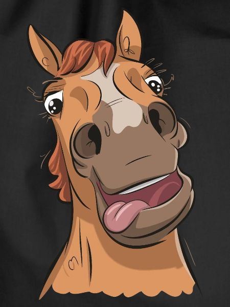 Funny Crazy Horse
