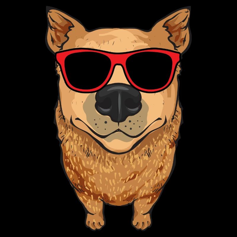 Bouvier australien Red Blue Heeler