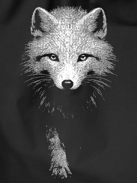 Polarfuchs