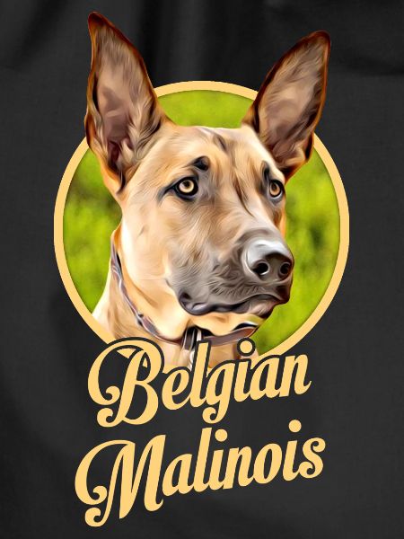 Belgischer Schäferhund Malinois