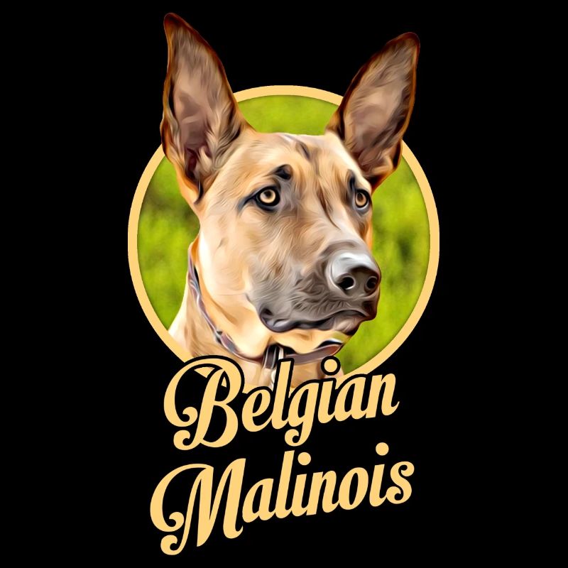 Belgischer Schäferhund Malinois