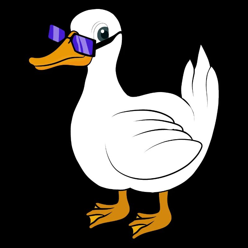 Duck sunglasses cool