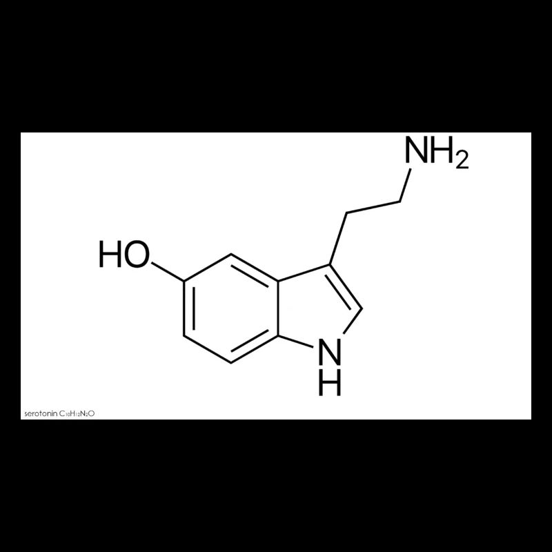 Serotonin