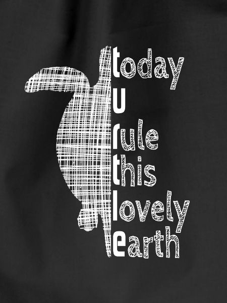 Turtle