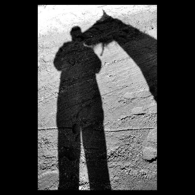 Pferd Schatten