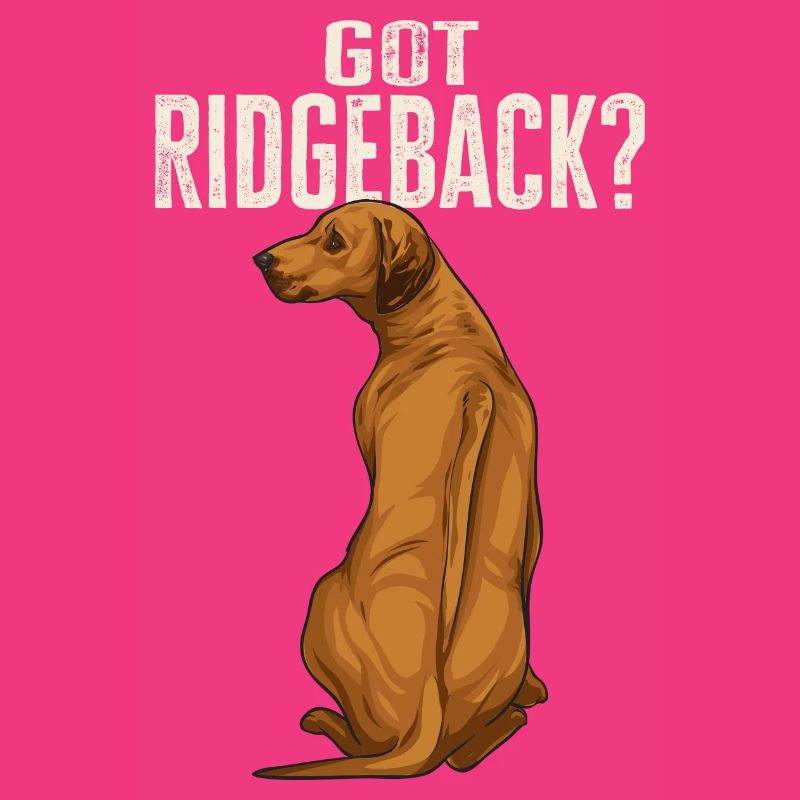 Rhodesian Ridgeback Hund
