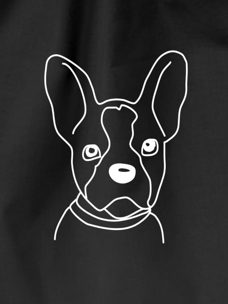 Boston terrier