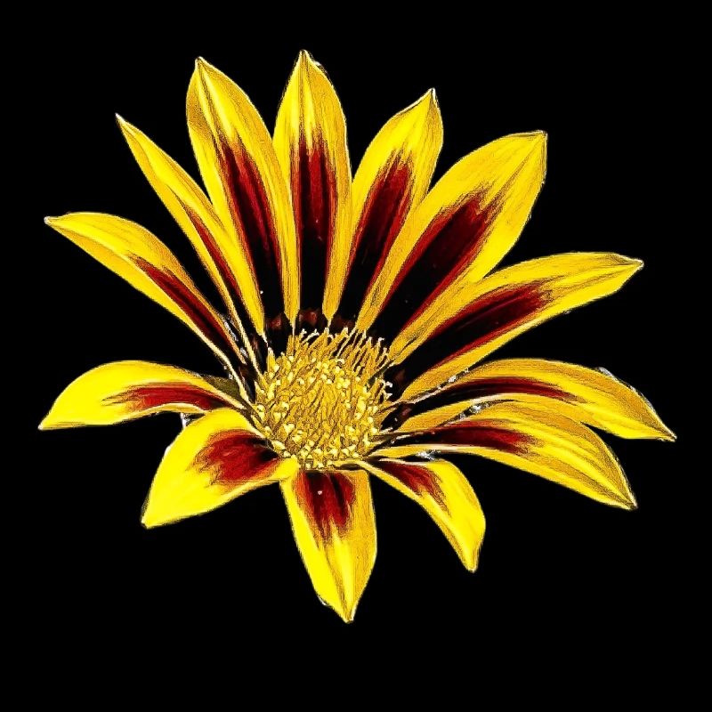 Yellow Flower