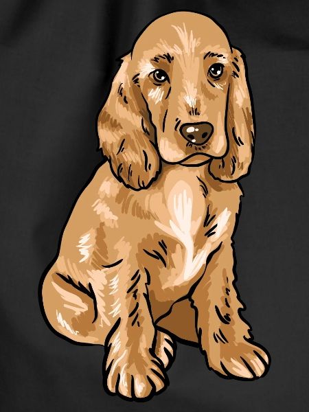 Cocker Spaniel