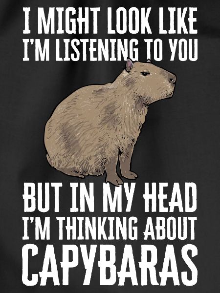 Capybara rodent