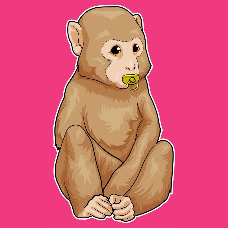 Monkey pacifier