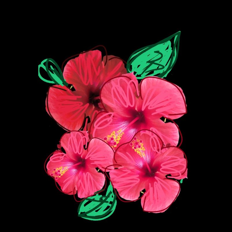 Hibiscus,Fleur,Fleurs,Rouge,Fleurs