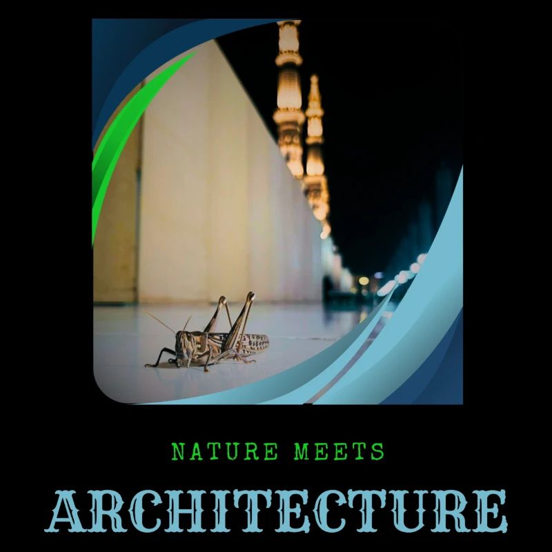 Nature Meets Architecture