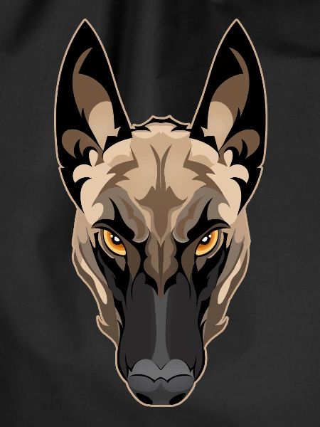 Attention Malinois Dog