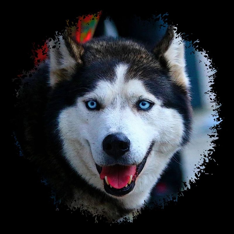 Husky