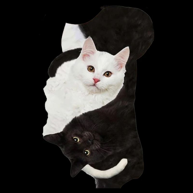 Die Katzen