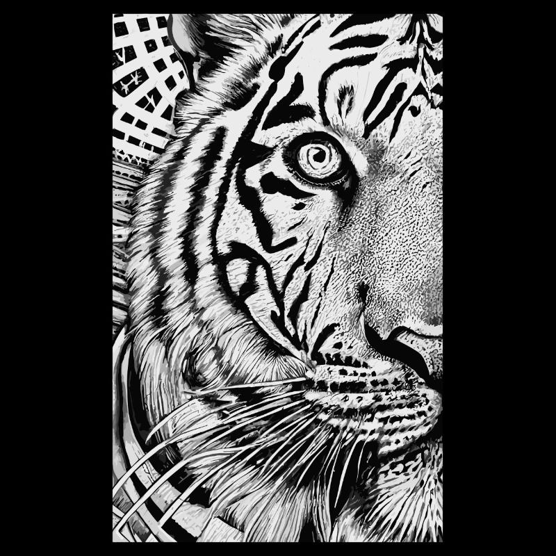 Psychedelic Tiger, Tiger Stripes