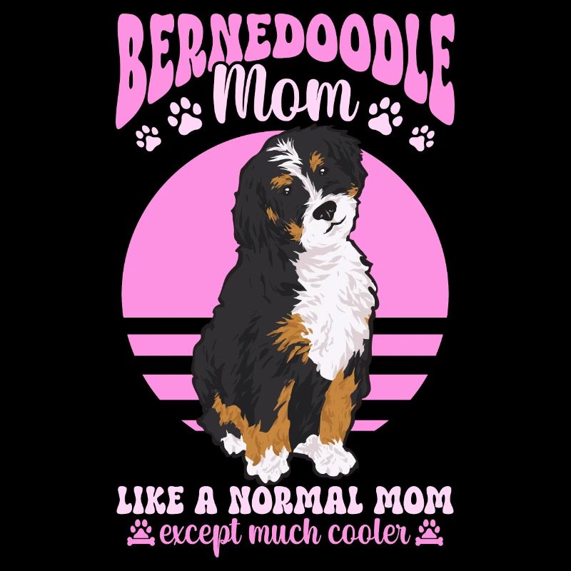 Bernedoodle Hund