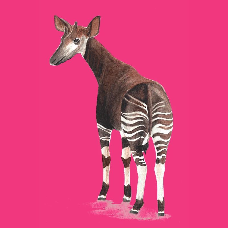 Okapi