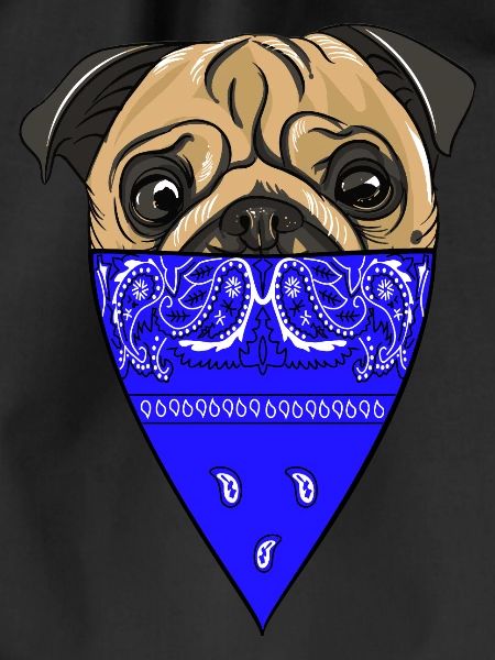 Pug Life