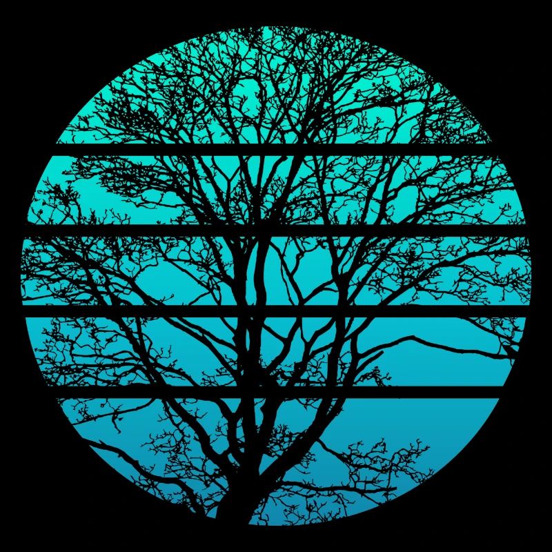 Tree Sunset - Hiking