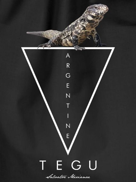Argentinian Black & White Tegu