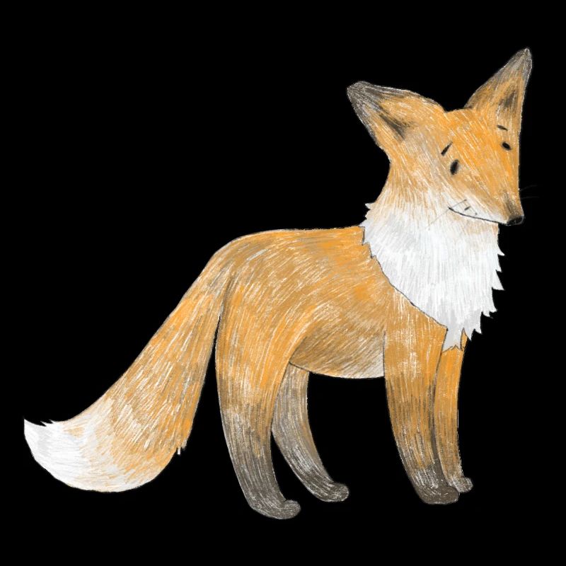 A little fox