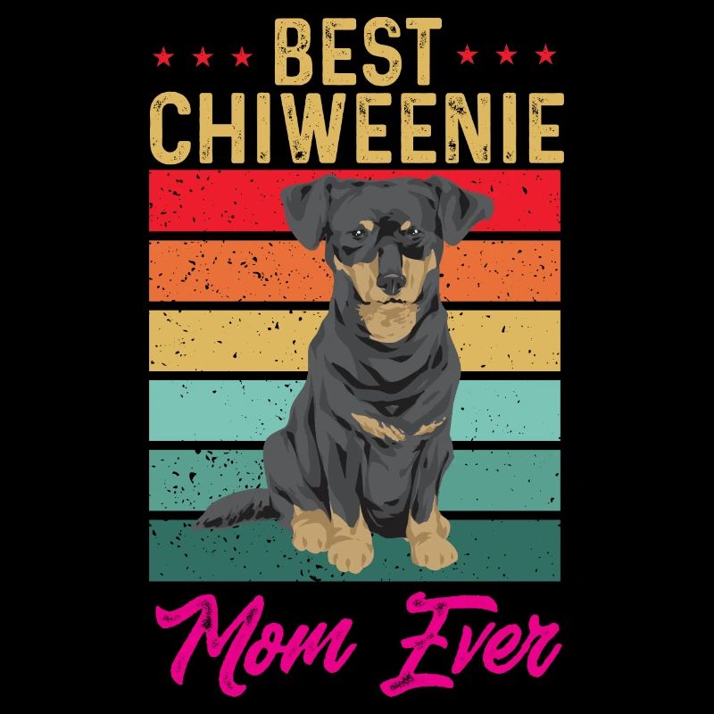 Chiweenie Dog