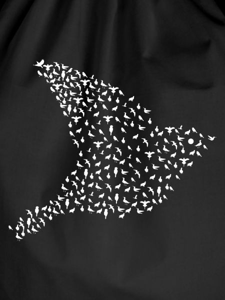 Bird Flying Birding Art