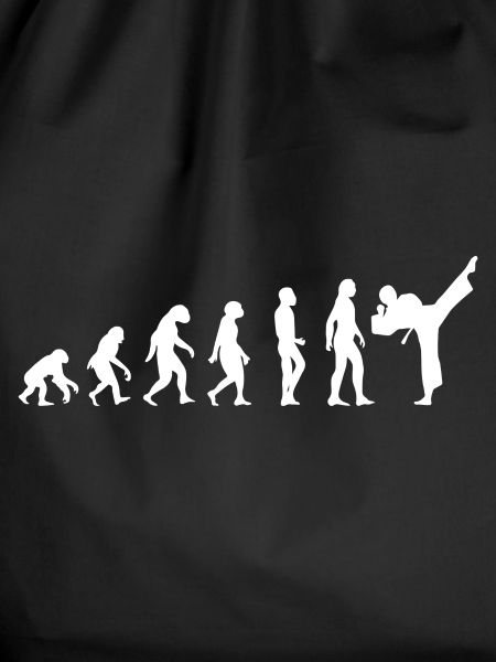 evolution karate t-shirt