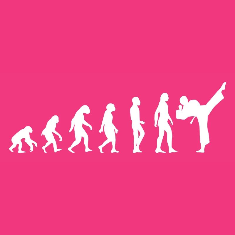 evolution karate t-shirt