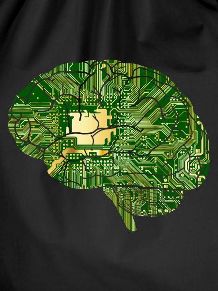 Brain circuitry, electronics