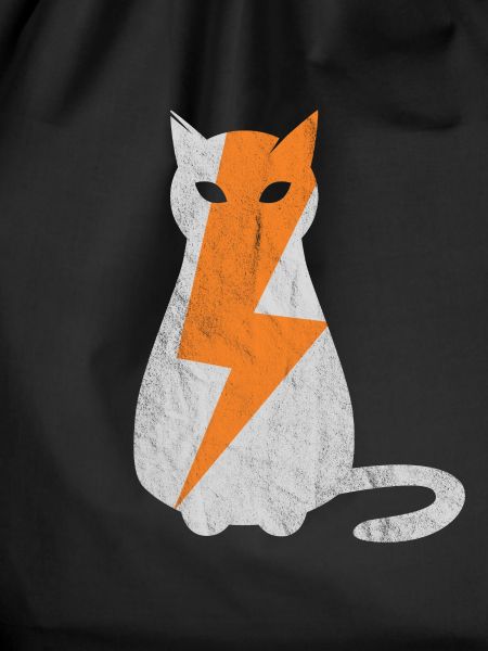 Cat lightning strike